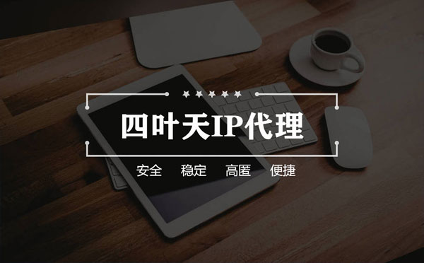 【阜新代理IP】如何快速搭建代理IP？怎么检查代理的效果？